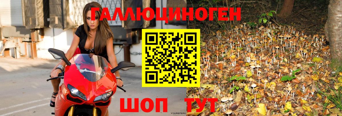 Заводоуковск  купить наркотик  Псилоцибиновые грибы Magic Shrooms  Вход с VPN  Галлюциногенные грибы ЛСД 